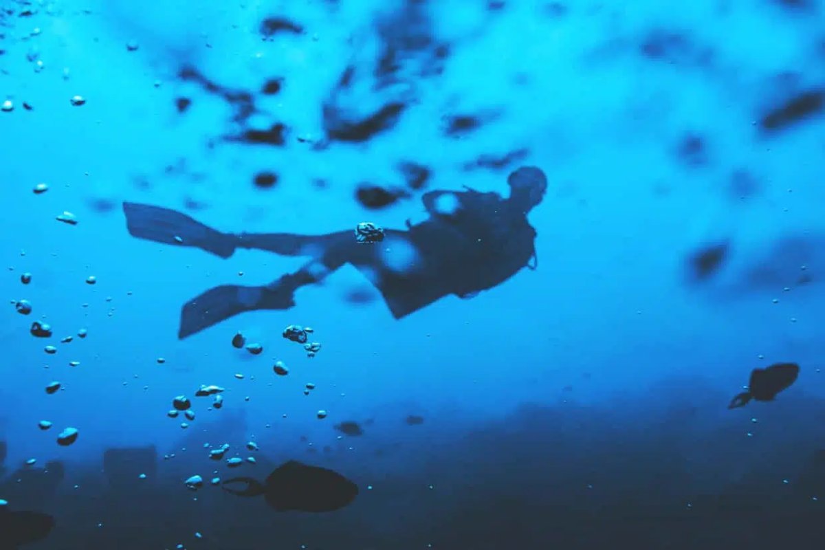 Scuba Diving Dubrovnik – Cea mai bună experiență de scufundări 2026