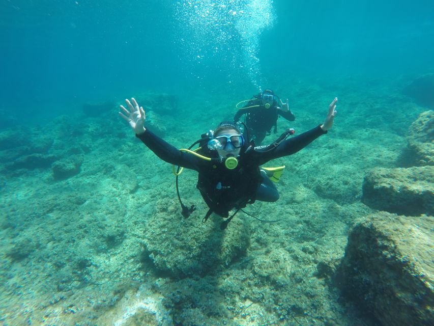 Scuba Diving Dubrovnik – Cea mai bună experiență de scufundări 2026