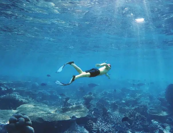 Scuba Diving Dubrovnik – Cea mai bună experiență de scufundări 2026