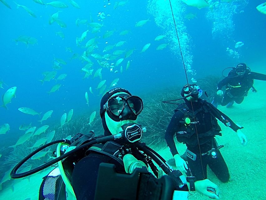 Scuba Diving Dubrovnik – Cea mai bună experiență de scufundări 2026