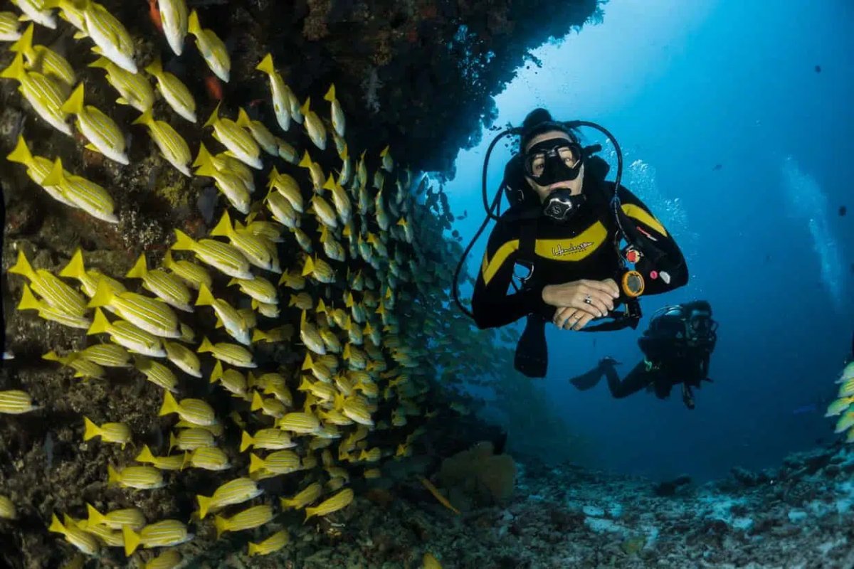 Scuba Diving Dubrovnik – Cea mai bună experiență de scufundări 2026